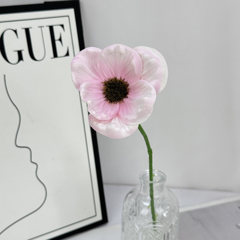 Rose bébé