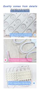 Aoying <strong>LED</strong> Gorgeous Module IP68 DC12V 3 <strong>Leds</strong> 2835 5630 Module Lens <strong>LED</strong> Module for Advertising Signs - Product Image 5