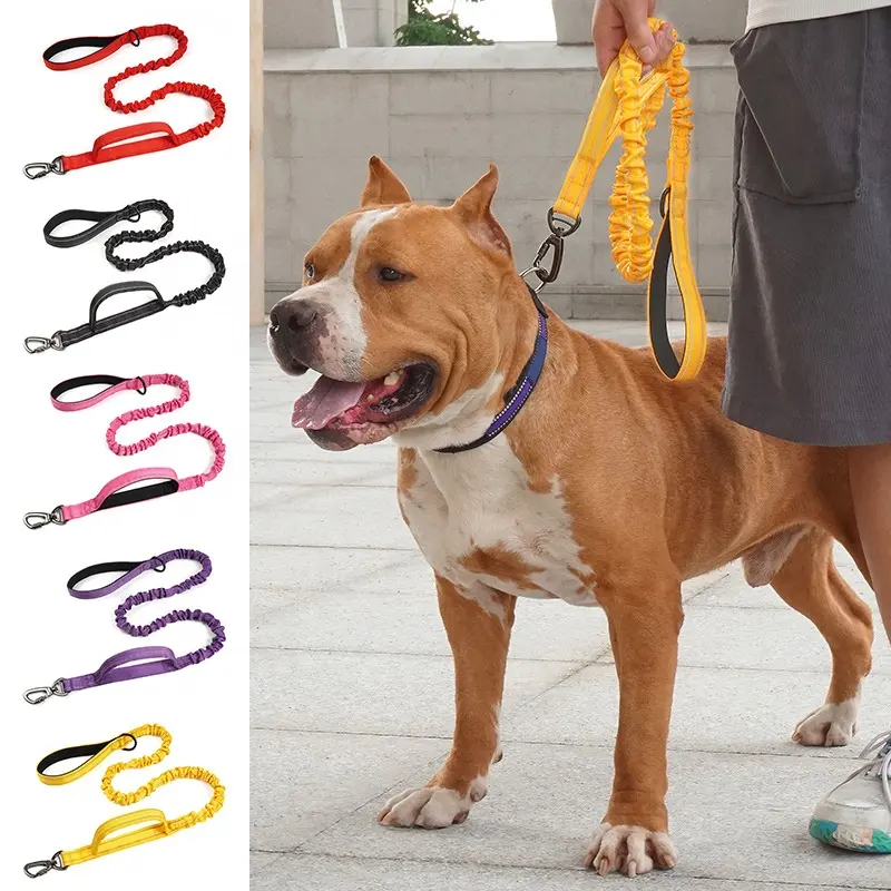 Penjualan pabrik tali kekang anjing dan tali anjing portabel tahan lama