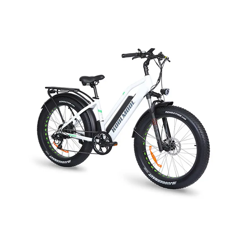 Hot sale e Bike style speed fat electric bike for adults electric bike 100 adult bicycle rad power e-bikes