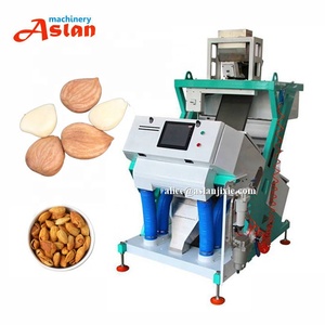 Double Channels AI Automatic Almond <strong>Shell</strong> <strong>Kernel</strong> Color <strong>Sorting</strong> Grading <strong>Machine</strong> - Product Image 1