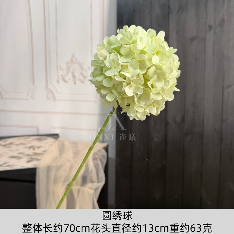 hortensia rond