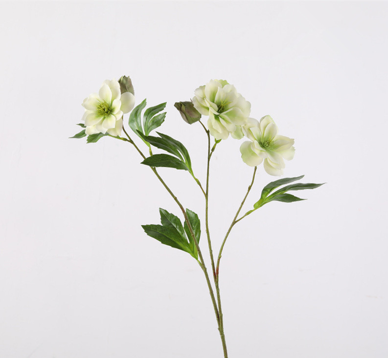 Vert clair