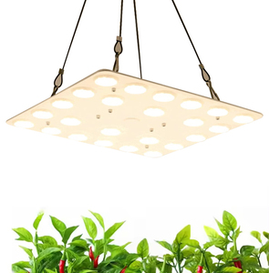 Wholesale Red/Blue Spectrum <strong>LED</strong> Grow Lights with 4 <strong>LEDs</strong> for Supplemental Plant Lighting - Product Image 2