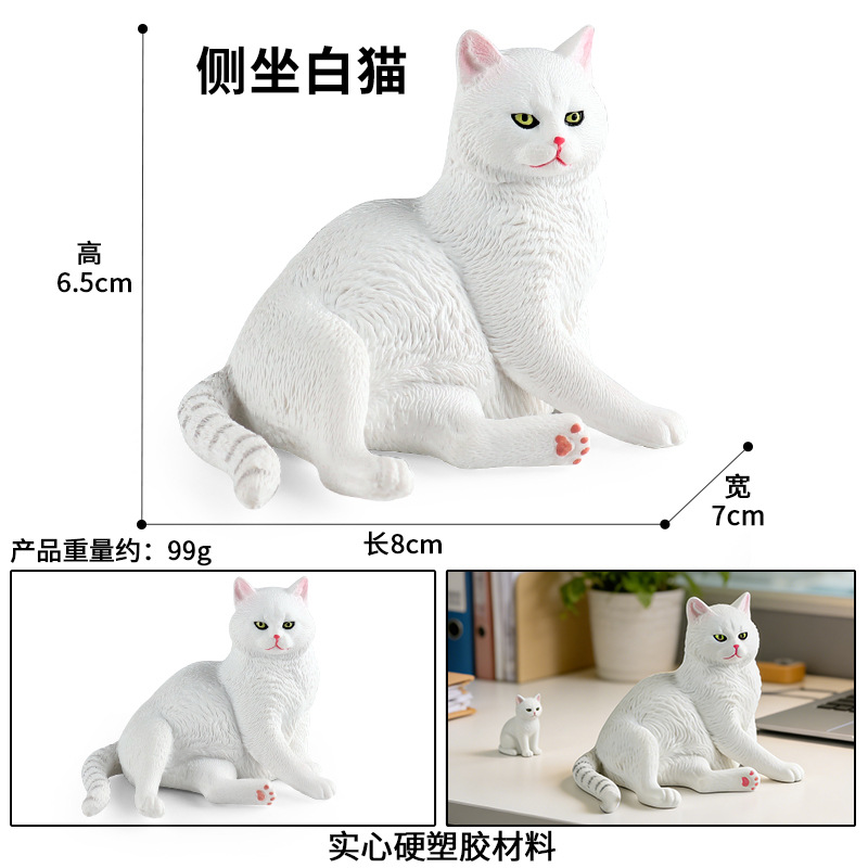 M-3158Chat blanc assis sur le côté