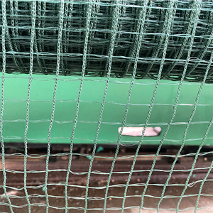 <strong>Excellent</strong> Quality HDPE Bird Trap <strong>Net</strong> White Anti-Birds Netting for Fruit &amp; Vegetable Protection Custom Cutting Service