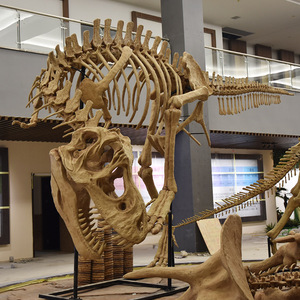 恐龙化石画廊展示了精湛的工艺，非常适合其他恐龙化石骨架 - Product Image 4