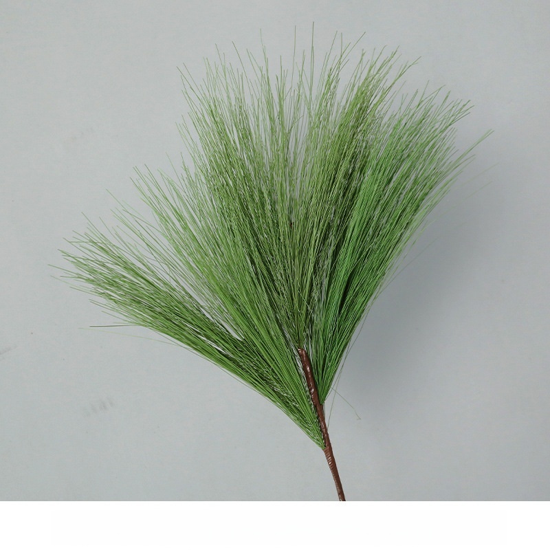 Masson pine