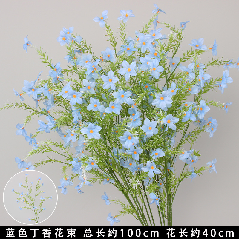 Bouquet de Lilas Bleu (10 tiges)
