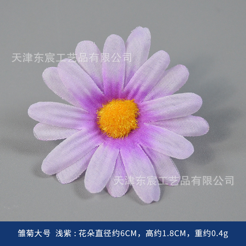 Daisy Grand Violet clair