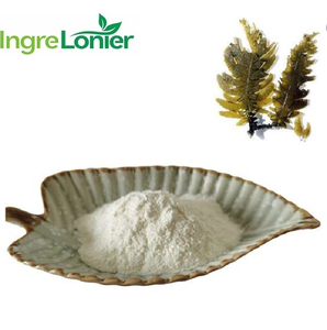 Factory Supply Fucoxanthin <strong>Fucoidan</strong> 85% Kelp Extract Seaweed Extract - Product Image 2