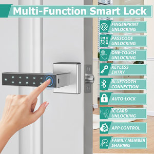 Camakt 2024 <strong>New</strong> Silver Tuya Smart <strong>Lock</strong> Door Face Recognition Fingerprint Password Card <strong>Key</strong> Smart Door <strong>Lock</strong> - Product Image 3