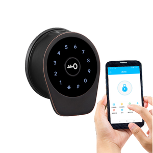 BL09-F parmak izi tek mandal yüzeye monte RFID kart ve WIFI Tuya veya Bluetooth TTLock APP ile şifreli kilit - Product Image 1