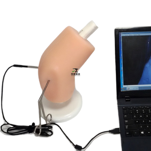 Hospital Use <strong>Human</strong> Arthroscopic Simulator with Training Endoscope Model - Product Image 1