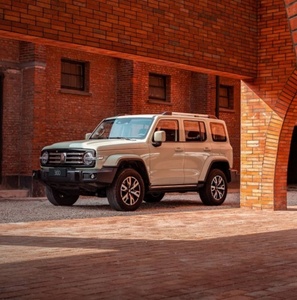Büyük duvar tankı 300 2.0T benzin yakıt 4Wd 227Ps 167Kw Suv Phev araç 2024 hibrid Ev şehir versiyonu tankı 300 araba