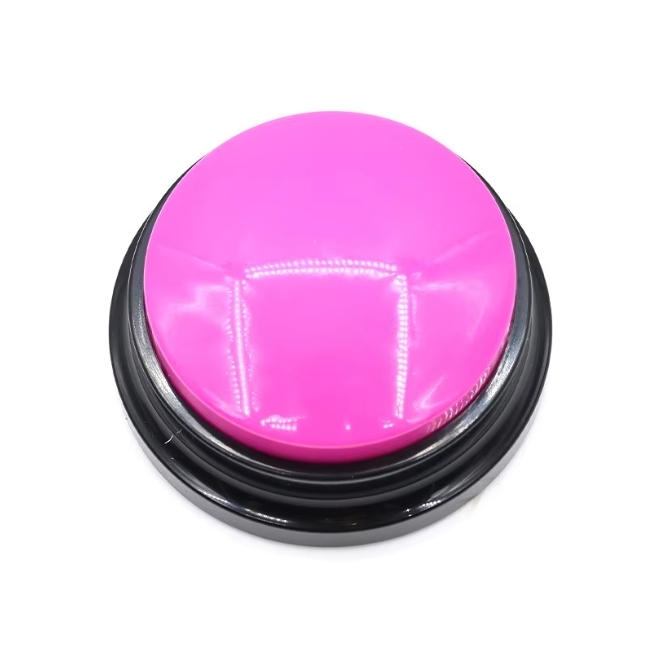 Rosa rosa