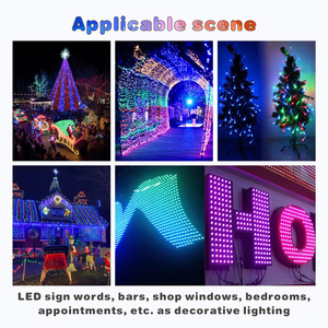 Ip65 Waterproof Dc5V 12V Digital Rgb Color 10Mm Ws2811 <strong>Ic</strong> Christmas String <strong>Lights</strong> <strong>Led</strong> Module <strong>Light</strong> <strong>Led</strong> Pixel <strong>Light</strong> - Product Image 6