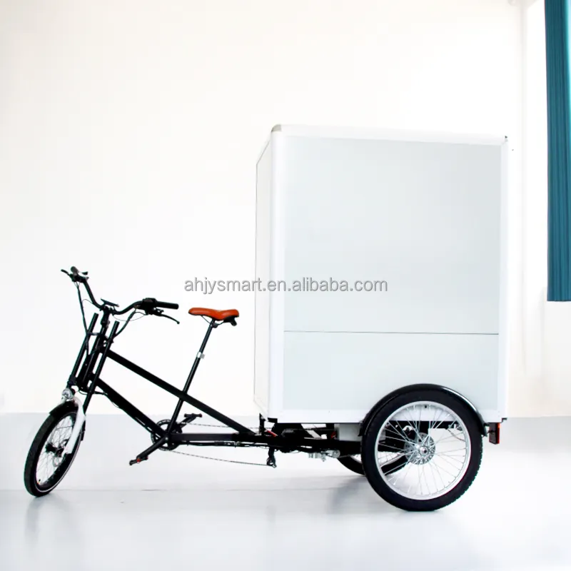 China electric tricycle for adult tricycle 750w green power cargo ebike 3 wheel electric trike