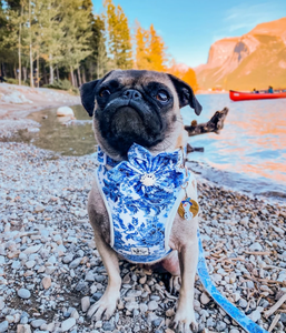 Personal isierte Vintage Flower <span class=keywords><strong>Dog</strong></span> Harness Atmungsaktive Luxus Simple Style Chinoiserie Floral <span class=keywords><strong>Dog</strong></span> Harness Weste - Product Image 2