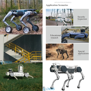 Professional Grade Programmable Robot Dog With <strong>Equippable</strong> Robotic Arm Obstacle Climbing for Border Patrol Applications