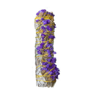 10 cm oublie-moi-pas