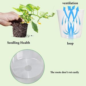 Bitkiler için fide saksısı yumuşak şeffaf plastik ekici 5 inç bitki vazosu şeffaf Pot - Product Image 3