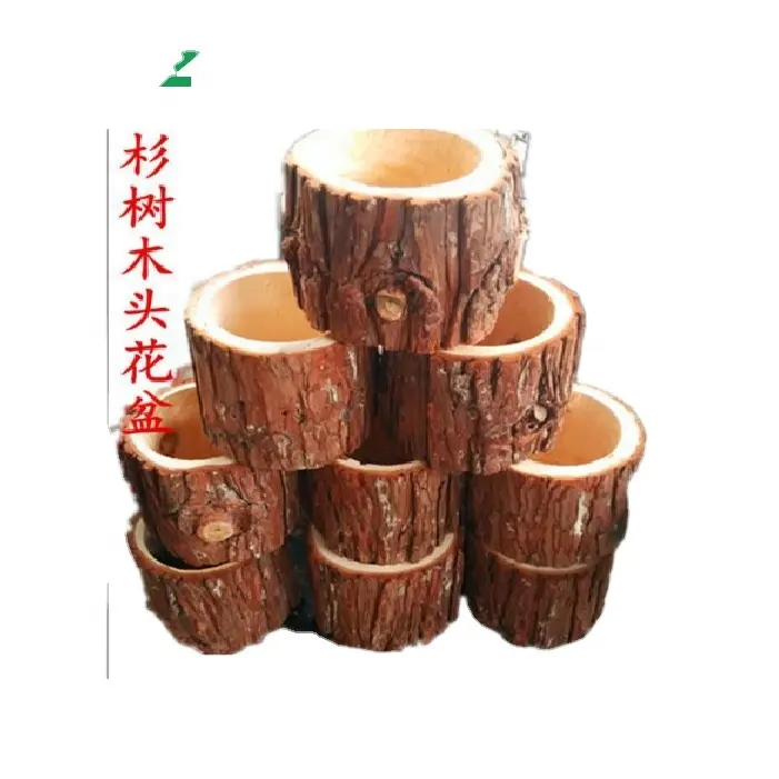 Pot décoratif en bois pour enfants, écorce d'arbre, plantation succulente