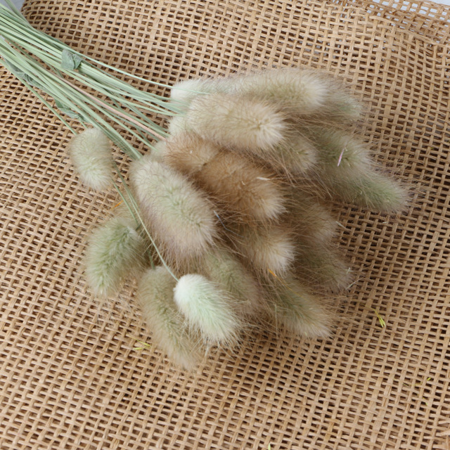 Beige (env.30 pièces)