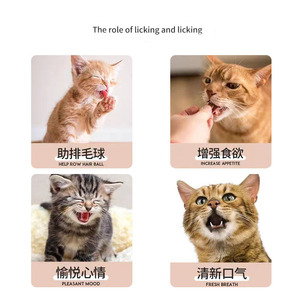 Xianchanpets Popular Small Catnip Ball Toy Relajación Cat Toy con Catnip para animales pequeños - Product Image 3