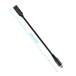 สายไฟ USB-C ตัวเมียชนิด C เป็น DS สำหรับการต่อสายชาร์จ3DS NDSi 2DS xl/ll ใหม่3dsxl/3dslpower line - Product Image 5