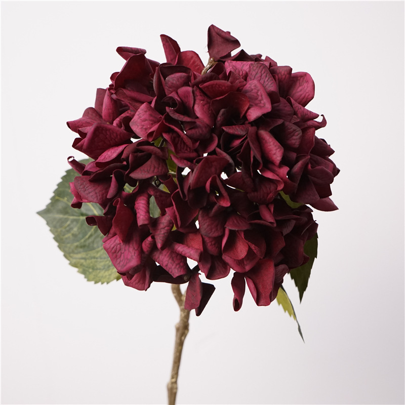 Feel autumn hydrangea-black red