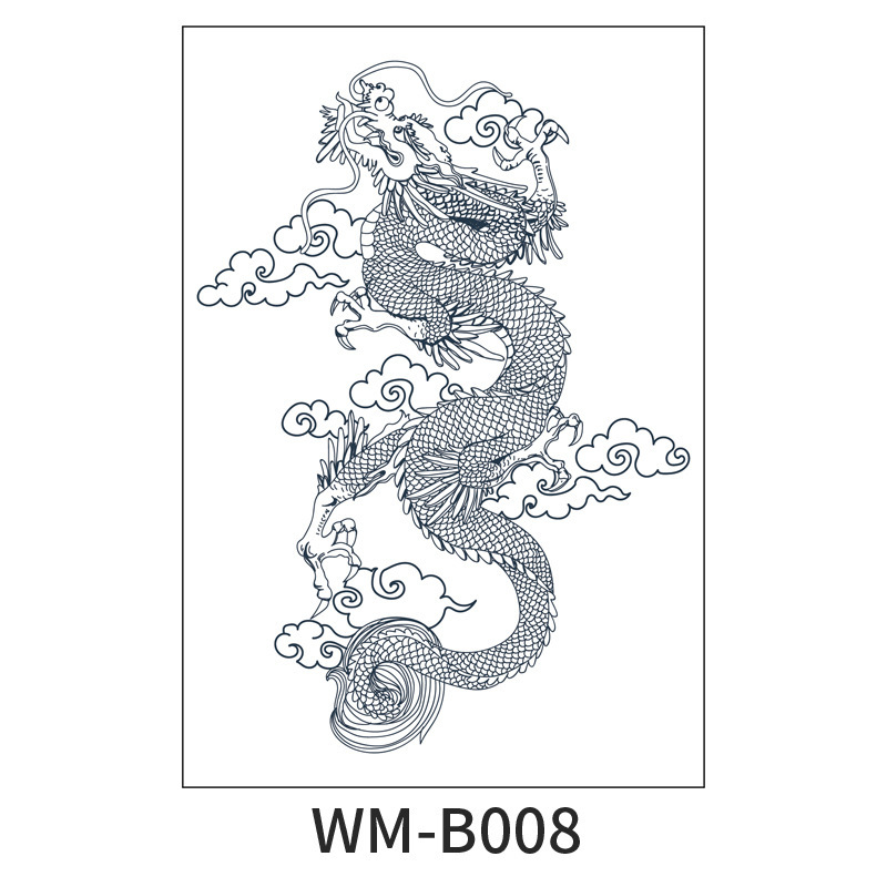 WM-B008