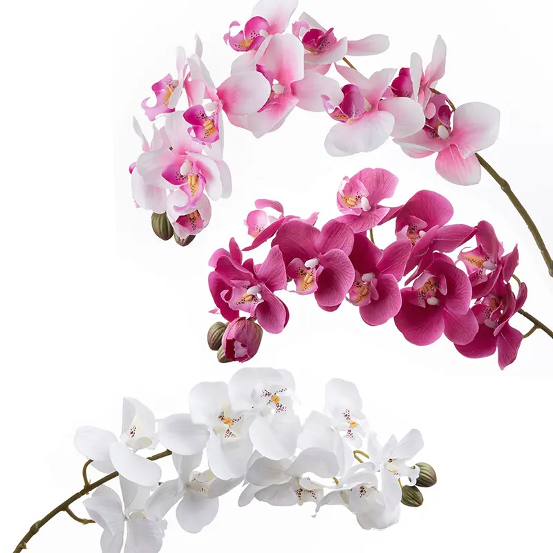 Real Touch Künstliche Phalaenopsis Orchideen Für Home Office Diy Dekor Weiß Rosa Lila Faux Herzstück Blume Blumen Lieferanten