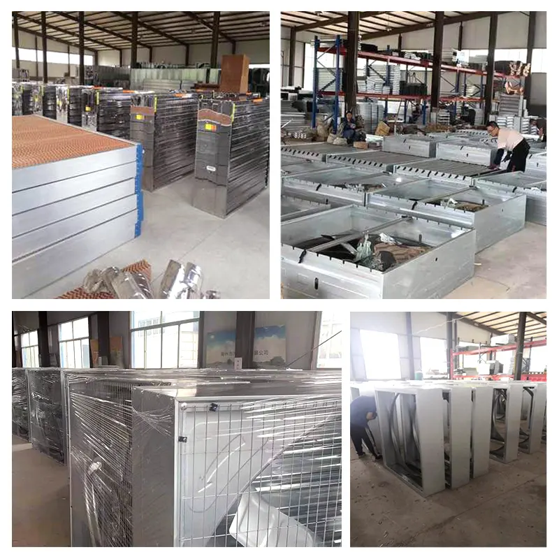 Negative pressure fan industrial exhaust fan Factory ventilation and cooling with low price and excellent quality