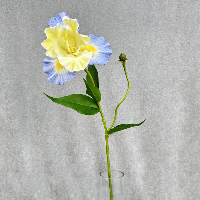 Light Blue + Yellow