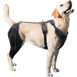 Custom Dog Knee Brace Suporte Para Um Cão Pernas Traseiras Com <span class=keywords><strong>Metal</strong></span> Splint Dobradiça Suporte Brace Para ACL/CCL