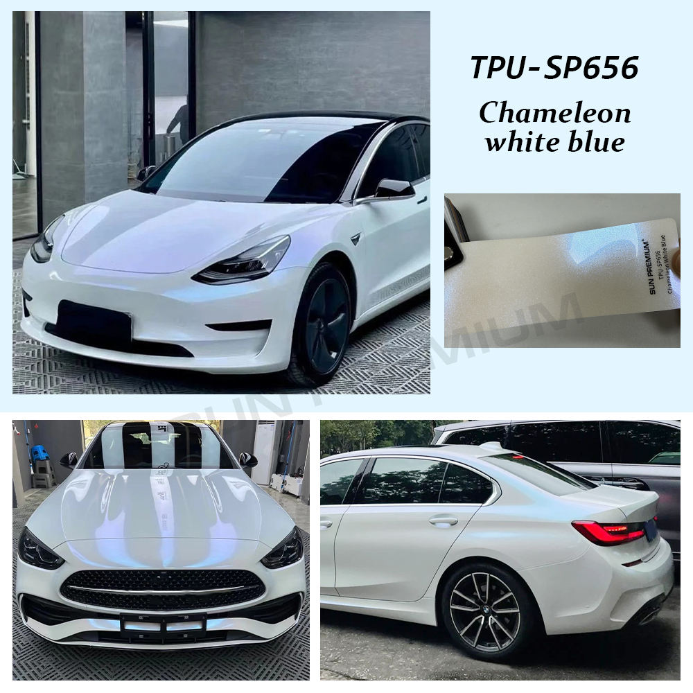 Chameleon white blue