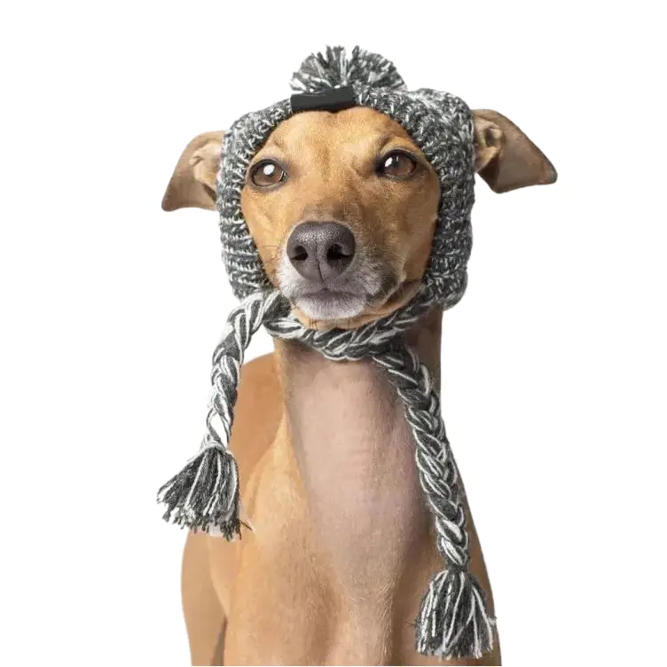 Лидер продаж, роскошные вязаные зимние шапки для собак, новые персонализированные теплые ветрозащитные Плюшевые Вязаные шапки для собак