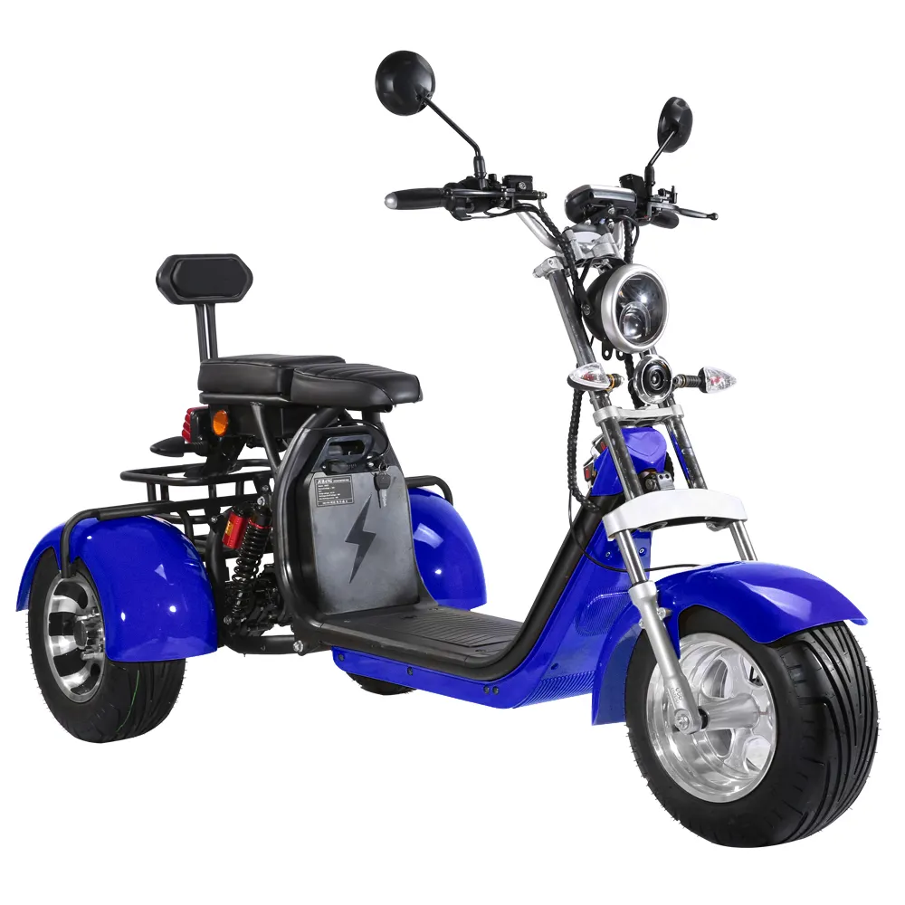 Holland Magazijn Deur Tot Deur Levering 3 Wiel Driewieler 2000W Passagier Elektrische Driewieler Scooter Voor Volwassenen