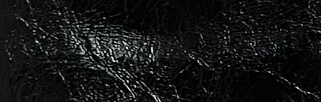4001 #