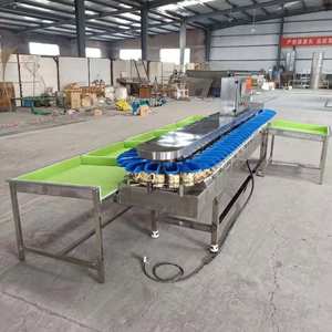 Automatic apple Sorter Fruit Weight <strong>Sorting</strong> <strong>Machine</strong> - Product Image 6