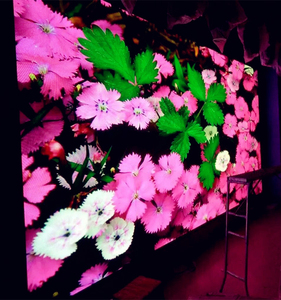 P2.5 P4 P8 P10 LED-Außen modul Feste kommerzielle Anzeige Wasserdichtes Panel Innen videowand Werbung Großer TV-Bildschirm - Product Image 2