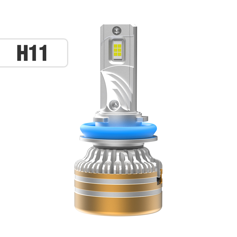 H11