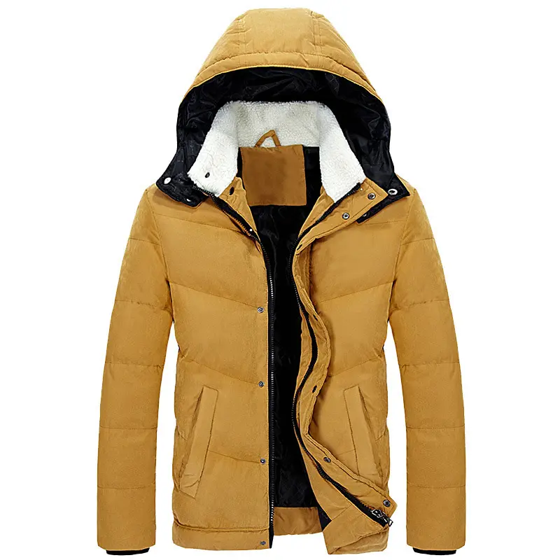 Los hombres de invierno Chaqueta Hombre chaqueta de moda de algodón acolchado Parkas hombre Casual espesar cálido Juventud da vuelta-abajo con capucha Wadded ropa de abrigo