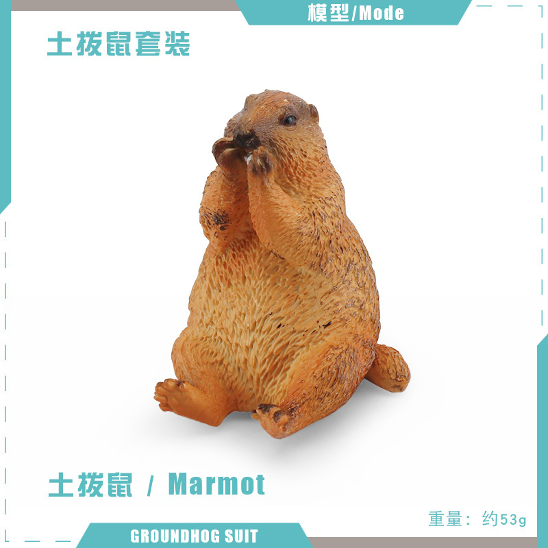 T15725 Marmota 53g