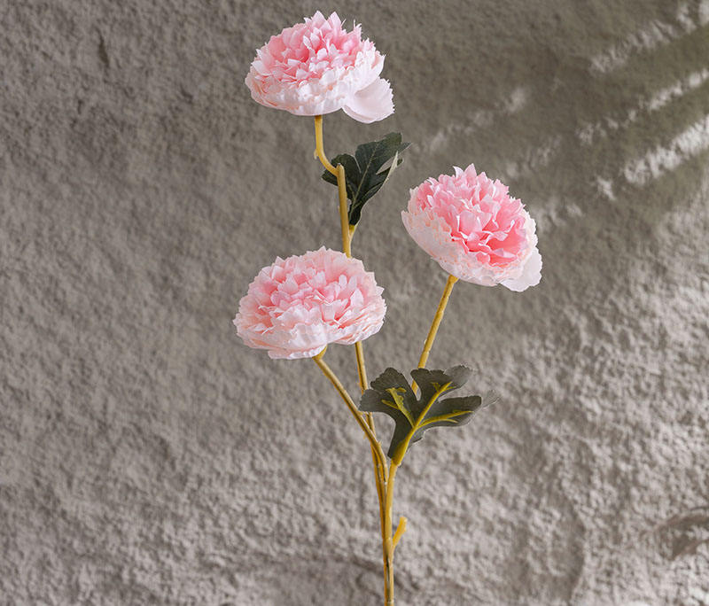 สีชมพูอ่อน