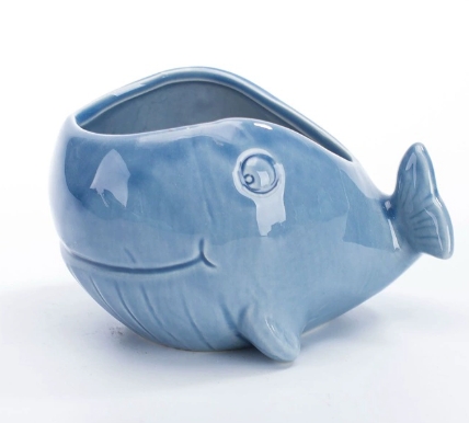 Bleu 6