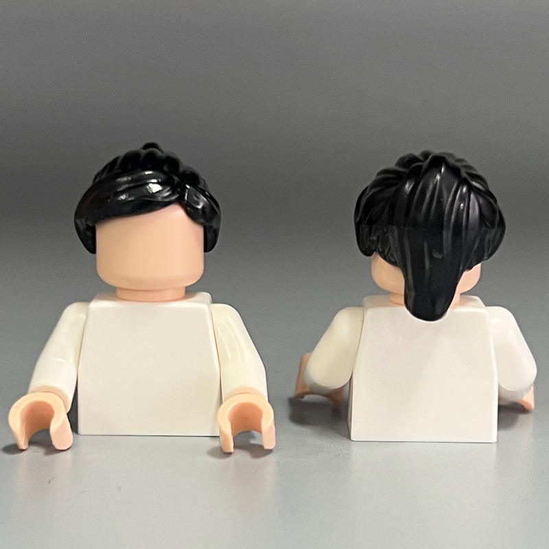 87990 - Prêle noire