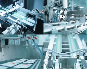 AIV Ag Kit per Test rapido | Rilevamento dell'antigene del Virus dell'influenza aviaria | Risultati da 8 minuti | Screening simultaneo H5/H7/H9 - Product Image 5