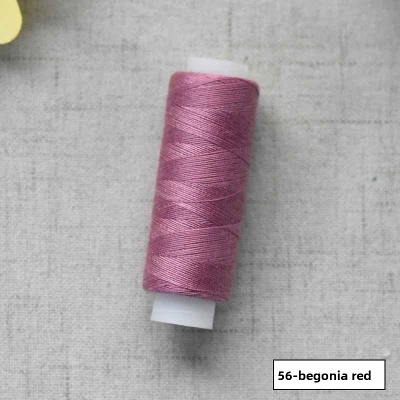 Begonia Red No. 56